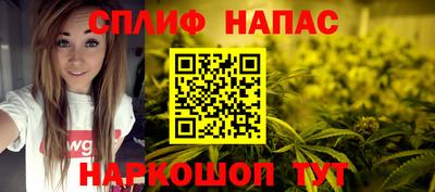 гашик Краснознаменск