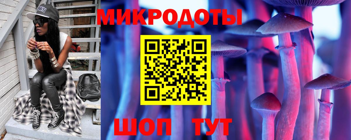 Галлюциногенные грибы Psilocybine cubensis  Вход с VPN  Калининград  Галлюциногенные грибы Magic Shrooms 