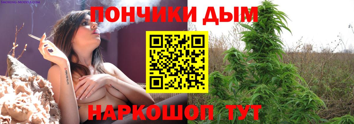 Шишки марихуана сатива Калининград