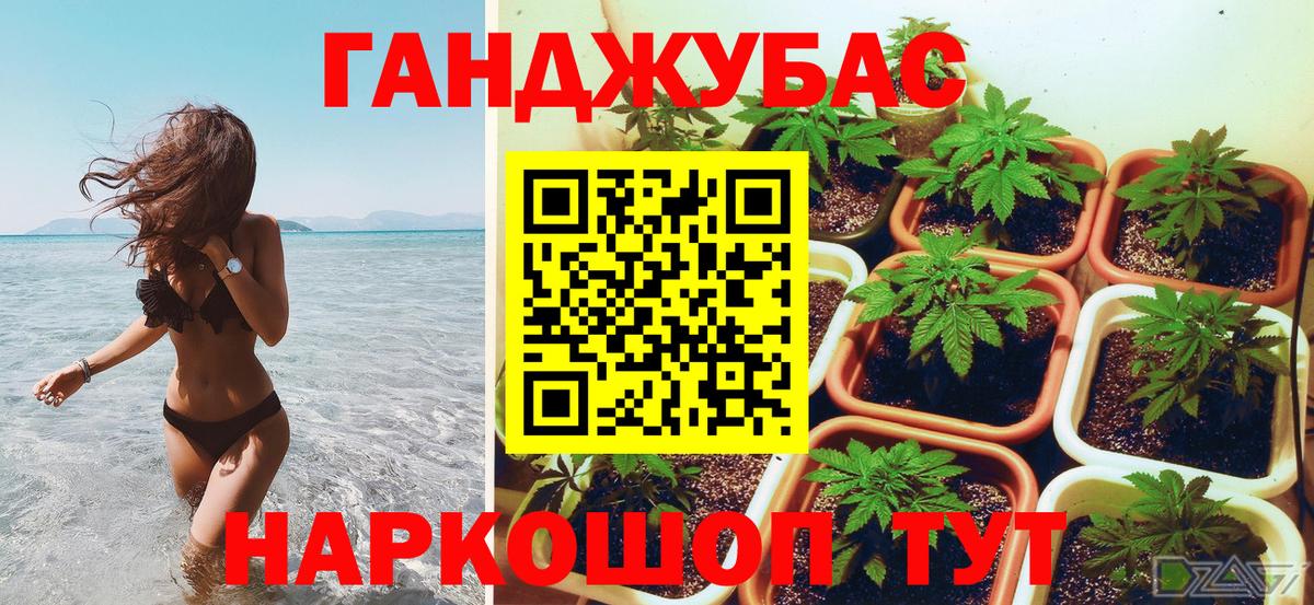 Марихуана семена  Вход с VPN  Калининград  Бошки марихуана семена  Бошки Шишки сатива  Конопля ГИДРОПОН 